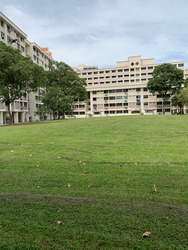 Blk 243 Kim Keat Link (Toa Payoh), HDB 4 Rooms #192552022